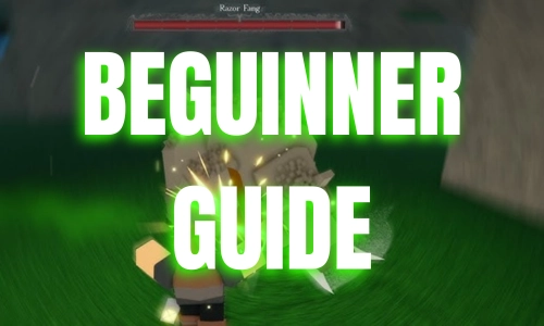 Rune Slayer Beguinner Guide.